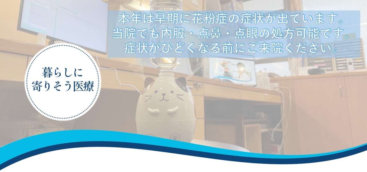 相模大野 内科 発熱 腎臓内科 おすすめ 病院 花粉症