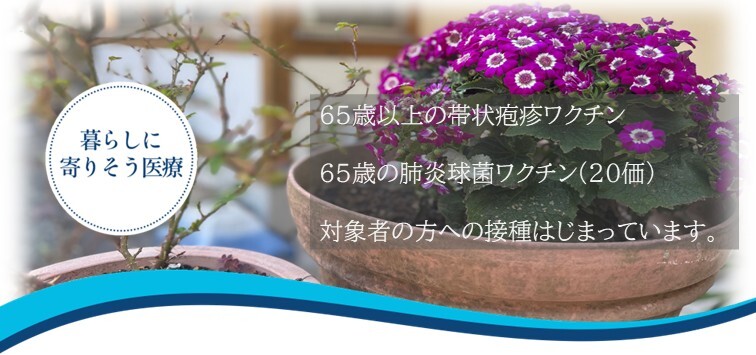 相模大野 内科 発熱 腎臓内科 おすすめ 病院